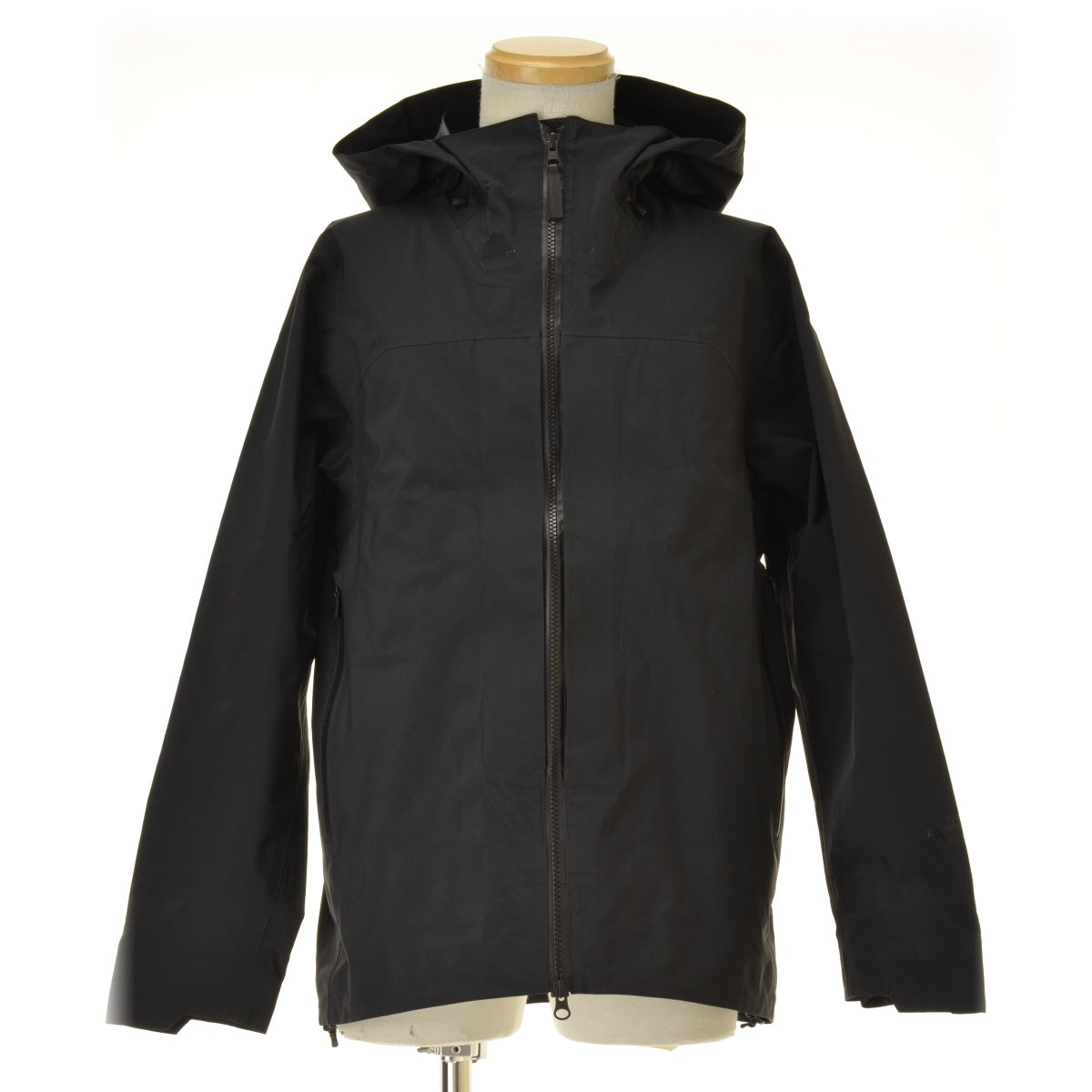 THE NORTH FACE NP11862 Gadget Hangar Hoodie GORE-TEX ゴアテックス