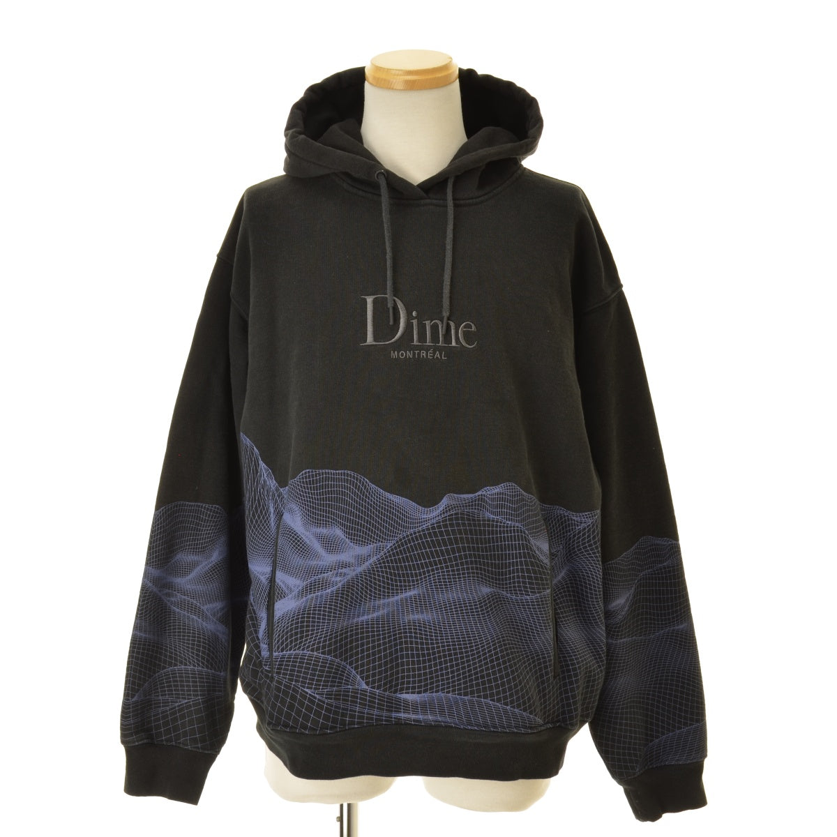 Dime Landscape Hoodie