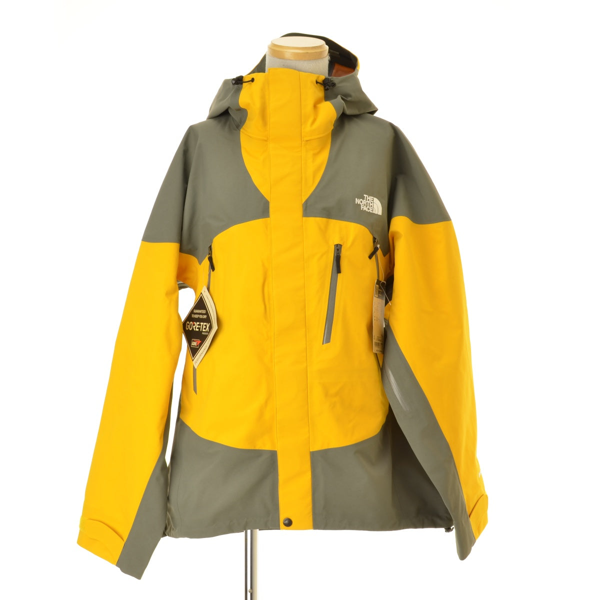 THE NORTH FACE NP62556 Winter Dance Jacket ウインターダンスジャケット GORE-TEX フード付き