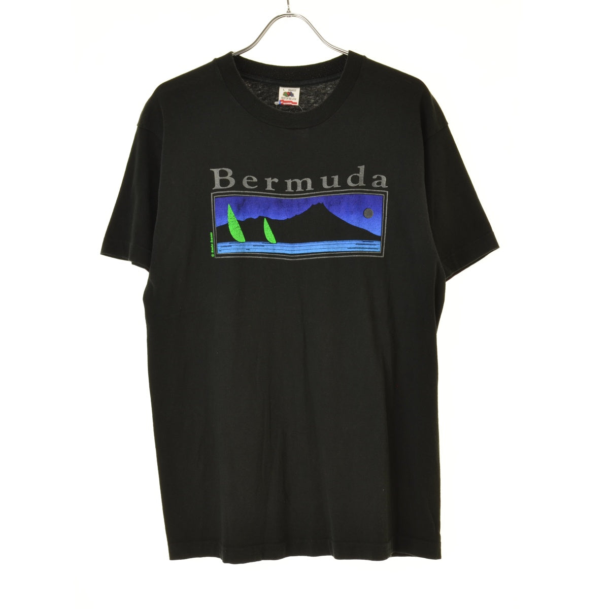 FRUIT OF THE LOOM 90s USA製 Keehn Scenes Bermuda バミューダ諸島 スーベニアT