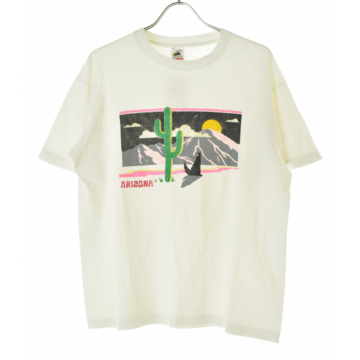 FRUIT OF THE LOOM 80s ARIZONA ラメ