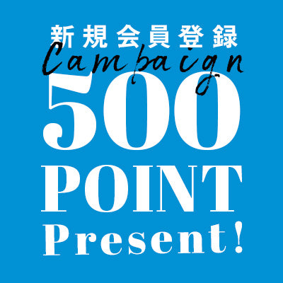 新規会員登録で500ポイント